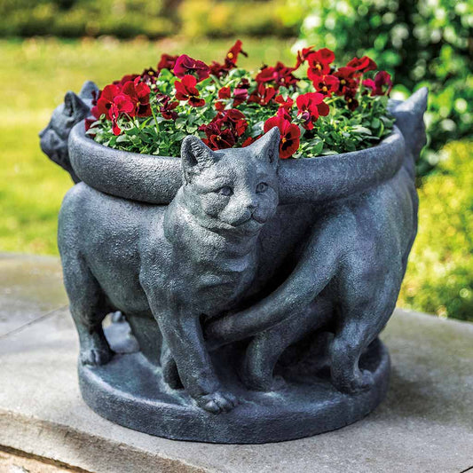Campania International Cats Planter