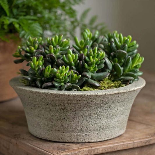 Campania International Bulb Planter