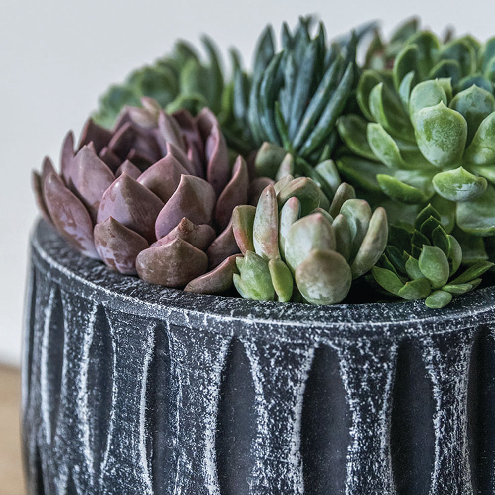 Campania Parabola Large Round  | Cold Painted Terra Cotta Planter