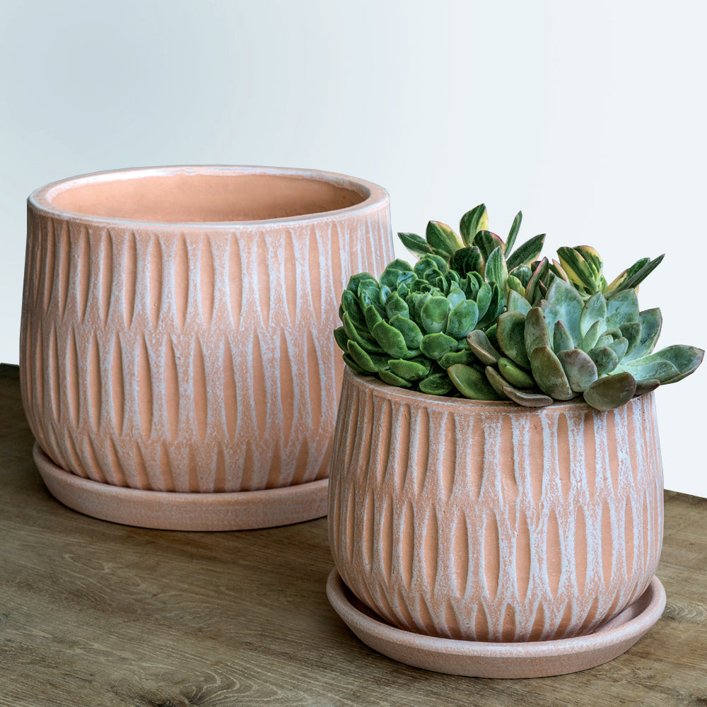 Campania Parabola Large Round  | Cold Painted Terra Cotta Planter