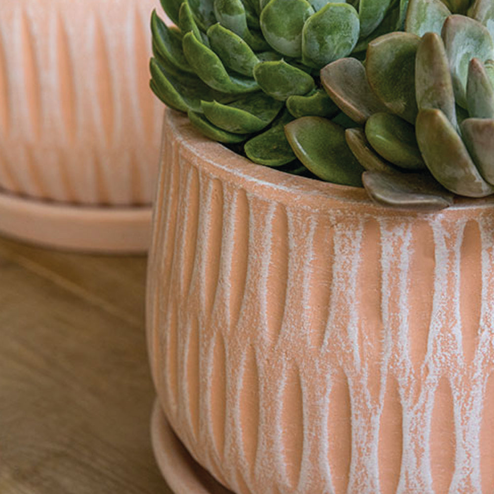 Campania Parabola Large Round  | Cold Painted Terra Cotta Planter