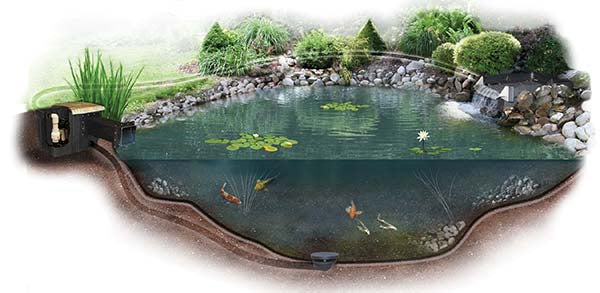 Easy Pro Pro-Series Medium Complete Pond Kits