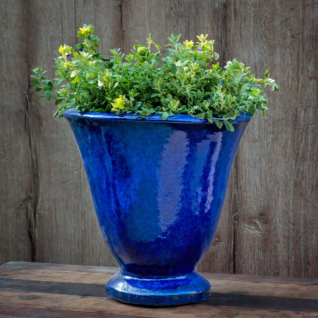 Campania International Caterine Urn Planter | Glazed Collection