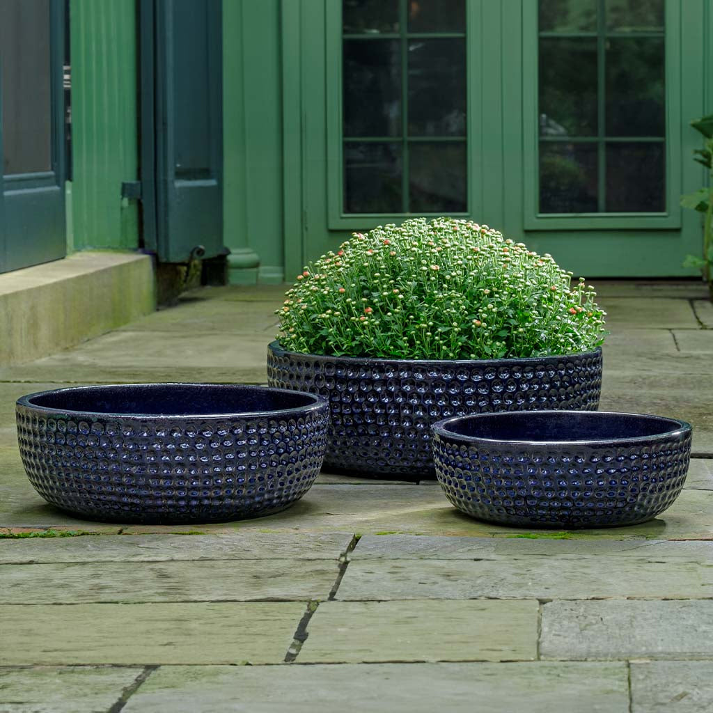 Campania Coin Bowl Planter Nested Set of 3 | Glazed Collection