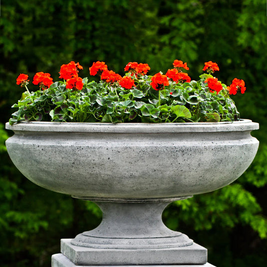 Campania St. Louis Garden Planter