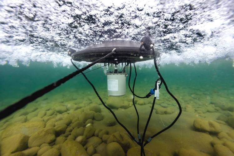 Kasco 5.1A 5HP Surface Aerator 100ft Cord