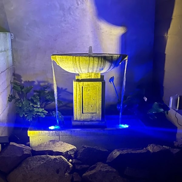 Austin Fountain Campania International