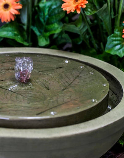 Campania Hydrangea Leaves Garden Terrace Fountain