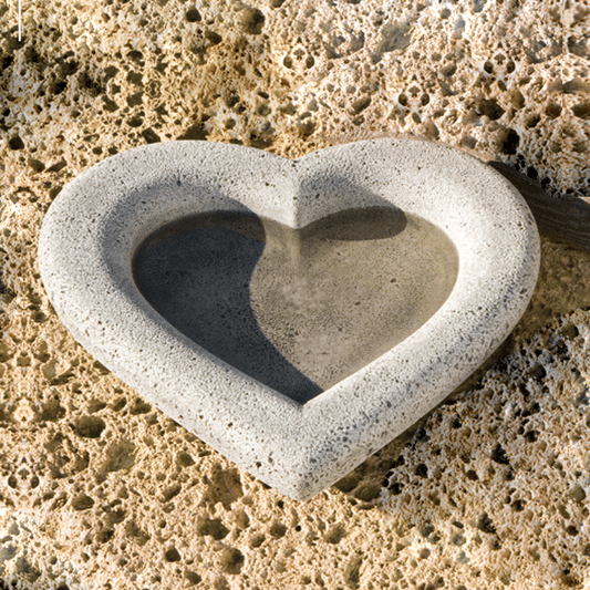 Campania International Heart Shell, Large