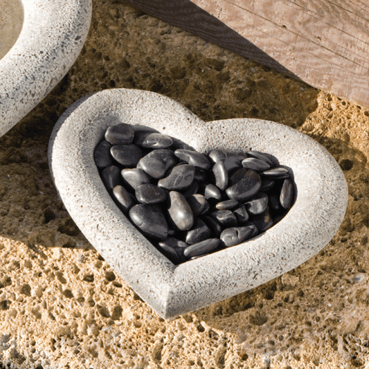 Campania International Heart Shell, Small