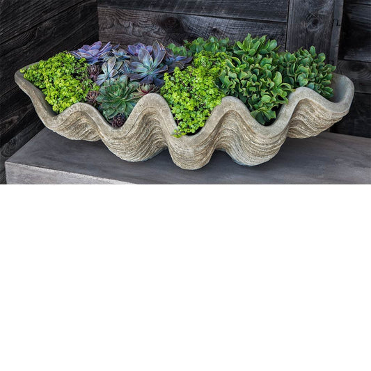 Campania International South Seas Shell Large Planter